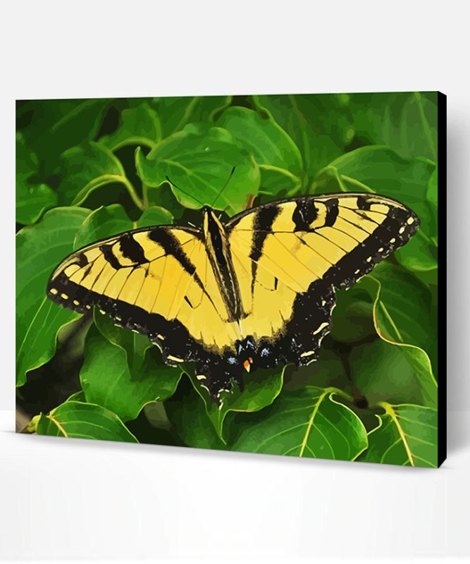 Yellow Monarch Butterfly Paint By Number