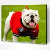 Adorable Georgia Bulldogs Paint By Number