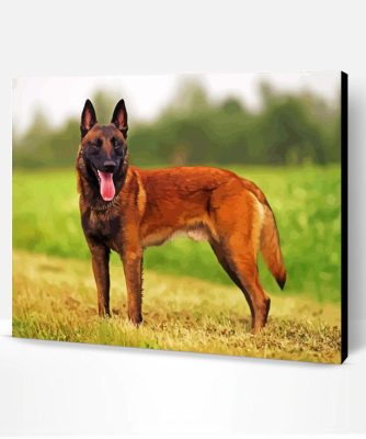 Aesthetic Belgian Malinois Paint By Number