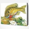 Aesthetic Bluegill Fish Paint By Number