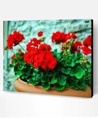 Aesthetic Geraniums Flowers Paint By Number