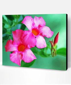 Aesthetic Mandevilla Paint By Number