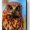 Aesthetic Morepork Bird Paint By Number