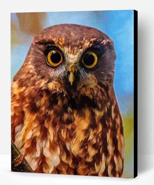 Aesthetic Morepork Bird Paint By Number