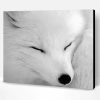 Aesthetic Black And White Fox Paint By Number