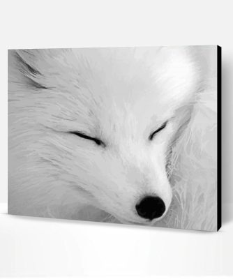 Aesthetic Black And White Fox Paint By Number