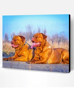 Aesthetic Bordeaux Dog Paint By Number
