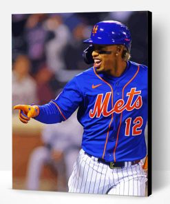 Cool Player Mets Lindor Paint By Number