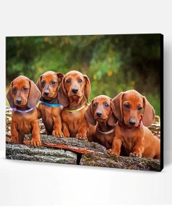 Cute Daschound Puppies Paint By Number