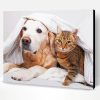 Cute Dog And Cat Paint By Number