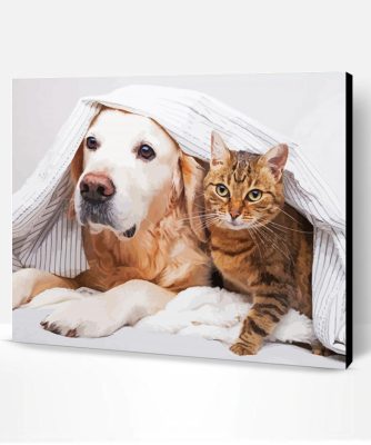 Cute Dog And Cat Paint By Number