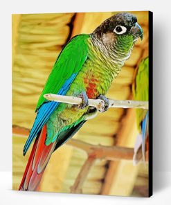 Green Cheek Conure Paint By Number