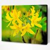 Yellow Azalea Plant Paint By Number