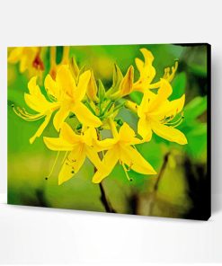 Yellow Azalea Plant Paint By Number