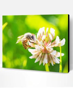 Bee On White Clover Paint By Number