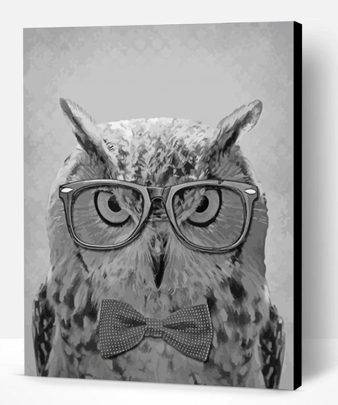 Black And White Owl With Glasses Paint By Number