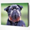 Black Brussels Griffon Paint By Number
