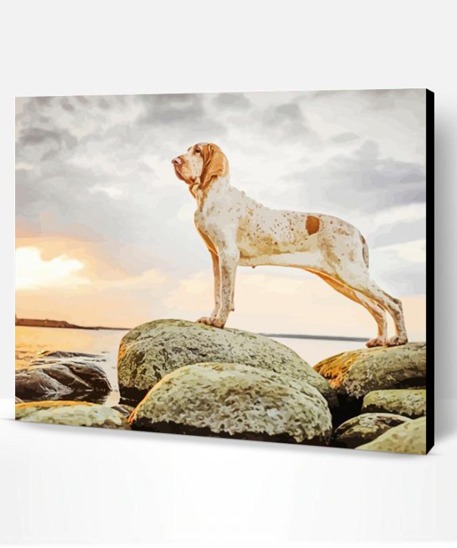Bracco Italiano At Sunset Paint By Number
