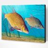 Bream Fish Paint By Number