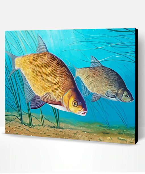 Bream Fish Paint By Number