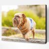 Brussels Griffon Dog Paint By Number