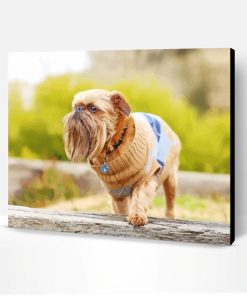 Brussels Griffon Dog Paint By Number