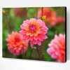 Dahlia Coral Flowers Paint By Number