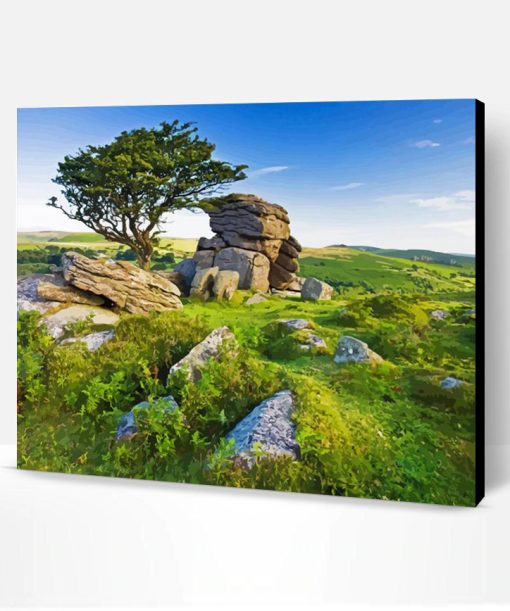 Dartmoor National Park Paint By Number