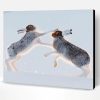 Fighting Hares In Snow Paint By Number