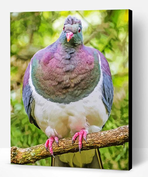 Kereru Bird Paint By Number