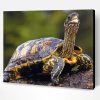 Long Neck Turtle Animal Paint By Number
