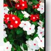 Red And White Flowers Paint By Number