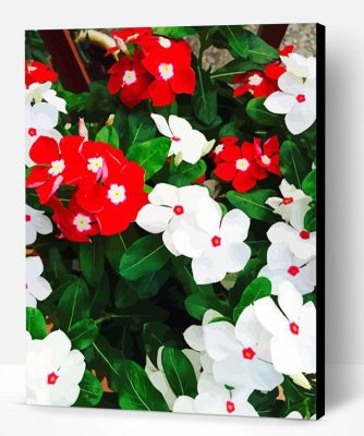 Red And White Flowers Paint By Number