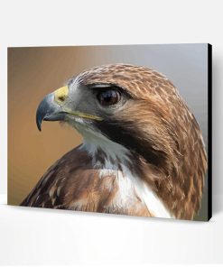 Red Kite Side Bird Paint By Number