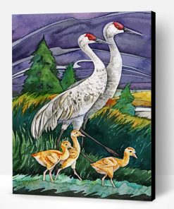 Sandhill Cranes Birds Paint By Number