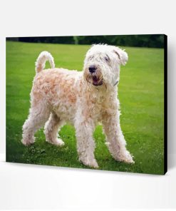 Soft Wheaten Paint By Number
