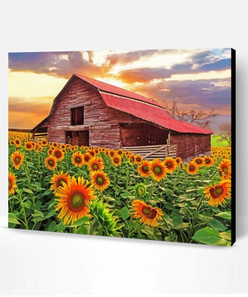 Sunflowers And Old Barn Paint By Number