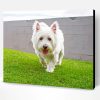White Scottish Highland Terrier Dog Paint By Number
