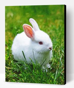 White Small Rabbit Paint By Number