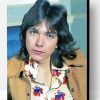 Aesthetic David Cassidy Paint By Number