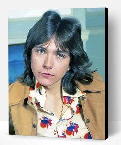 Aesthetic David Cassidy Paint By Number