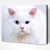 Aesthetic White Persian Cat Paint By Number