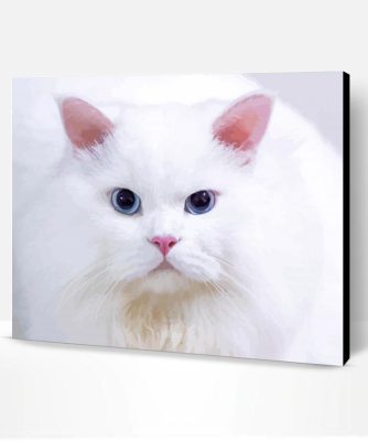 Aesthetic White Persian Cat Paint By Number