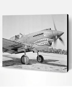 Black And White Flying Tigers Paint By Number