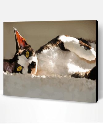 Black And White Cat Devon Rex Paint By Number