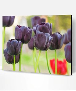 Black Gothic Tulip Paint By Number