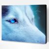 Blue Eyes Ice Wolf Paint By Number