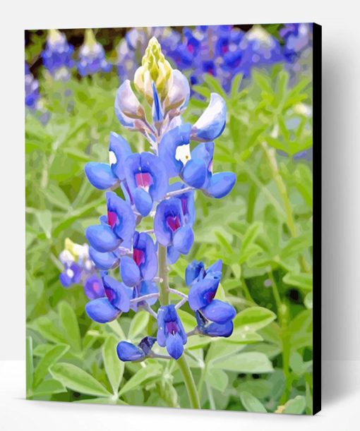 Bluebonnets Texas Flower Paint By Number