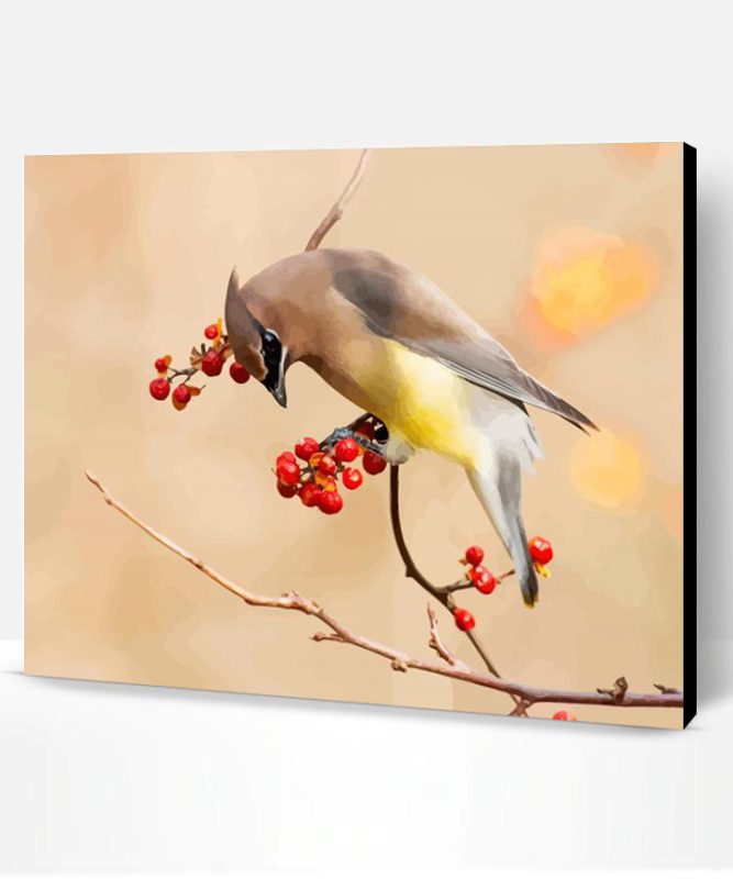 Cedar Waxwing Paint By Number