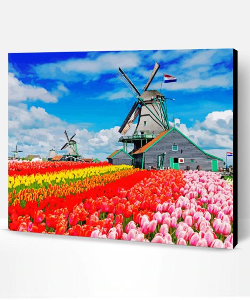 Colorful Tulpen En Molen Paint By Number